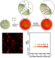 Graphical abstract: Polymers mediate a one-pot route for functionalized quantum dot barcodes with a large encoding capacity