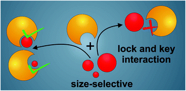Graphical abstract: The size-selective interaction of key and lock nanocrystals driven by depletion attraction at the nanoscale