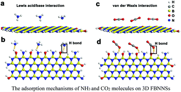 Graphical abstract: One-step template-free synthesis of 3D functionalized flower-like boron nitride nanosheets for NH3 and CO2 adsorption
