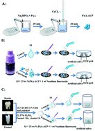 Graphical abstract: A novel fluorescent adhesive-assisted biomimetic mineralization