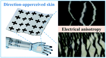 Graphical abstract: Directional sensing based on flexible aligned carbon nanotube film nanocomposites