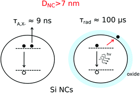 Graphical abstract: Free electron-driven photophysics in n-type doped silicon nanocrystals