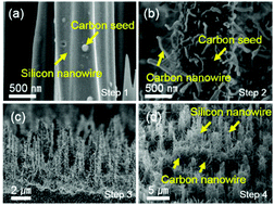 Graphical abstract: Hierarchical carbon–silicon nanowire heterostructures for the hydrogen evolution reaction