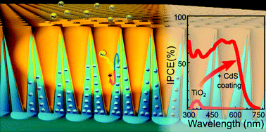 Graphical abstract: A 1D conical nanotubular TiO2/CdS heterostructure with superior photon-to-electron conversion
