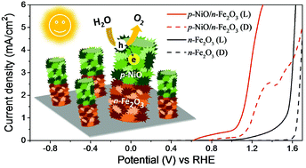 Graphical abstract: A facile approach for preparing densely-packed individual p-NiO/n-Fe2O3 heterojunction nanowires for photoelectrochemical water splitting