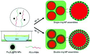 Graphical abstract: Circular assembly of colloidal nanoparticles at the liquid–air interface mediated by block copolymers
