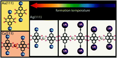 Graphical abstract: Tuning the ease of formation of on-surface metal-adatom coordination polymers featuring diketones