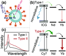 Graphical abstract: An efficient dye-sensitized NIR emissive lanthanide nanomaterial and its application in fluorescence-guided peritumoral lymph node dissection