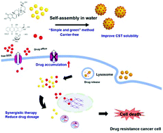 Graphical abstract: Synergistic combination chemotherapy using carrier-free celastrol and doxorubicin nanocrystals for overcoming drug resistance