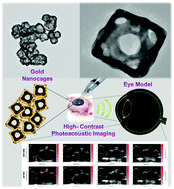 Graphical abstract: Gold nanocages entering into the realm of high-contrast photoacoustic ocular imaging