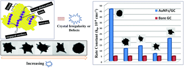 Graphical abstract: Crystal-defect-induced facet-dependent electrocatalytic activity of 3D gold nanoflowers for the selective nanomolar detection of ascorbic acid