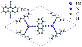 Graphical abstract: Giant magnetic anisotropy of a two-dimensional metal–dicyanoanthracene framework