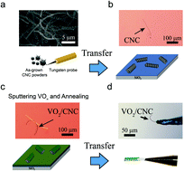Graphical abstract: Photo-driven nanoactuators based on carbon nanocoils and vanadium dioxide bimorphs