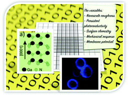 Graphical abstract: Bioelectronics communication: encoding yeast regulatory responses using nanostructured gallium nitride thin films