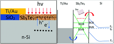 Graphical abstract: A broadband, self-biased photodiode based on antimony telluride (Sb2Te3) nanocrystals/silicon heterostructures