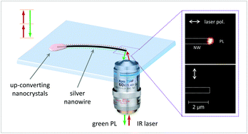 Graphical abstract: Remote activation and detection of up-converted luminescence via surface plasmon polaritons propagating in a silver nanowire