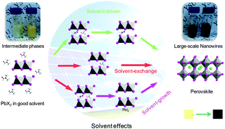 Graphical abstract: Solvent engineering for high conversion yields of layered raw materials into large-scale freestanding hybrid perovskite nanowires