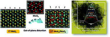 Graphical abstract: Rational inert-basal-plane activating design of ultrathin 1T′ phase MoS2 with a MoO3 heterostructure for enhancing hydrogen evolution performances