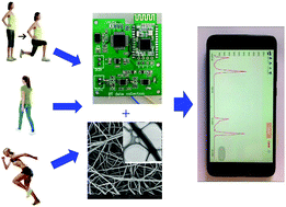 Graphical abstract: Wireless piezoelectric devices based on electrospun PVDF/BaTiO3 NW nanocomposite fibers for human motion monitoring