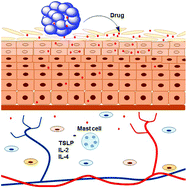 Graphical abstract: Synthesis of poly(lactide-co-glycerol) as a biodegradable and biocompatible polymer with high loading capacity for dermal drug delivery