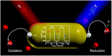 Graphical abstract: Bidirectional plasmonic coloration with gold nanoparticles by wavelength-switched photoredox reaction