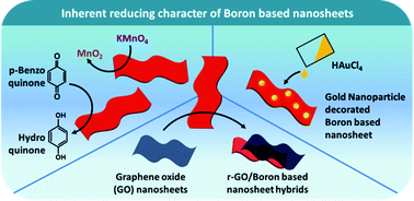 Graphical abstract: Boron based nanosheets as reducing templates in aqueous solutions: towards novel nanohybrids with gold nanoparticles and graphene