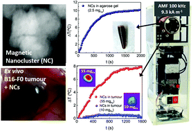 Graphical abstract: Nanoclusters of crystallographically aligned nanoparticles for magnetic thermotherapy: aqueous ferrofluid, agarose phantoms and ex vivo melanoma tumour assessment
