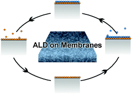 Graphical abstract: Atomic layer deposition for membrane interface engineering