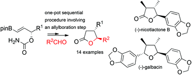 Graphical abstract: Asymmetric synthesis of trans-4,5-disubstituted γ-butyrolactones involving a key allylboration step. First access to (−)-nicotlactone B and (−)-galbacin