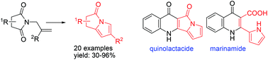 Graphical abstract: Preparation of pyrrolizinone derivatives via sequential transformations of cyclic allyl imides: synthesis of quinolactacide and marinamide
