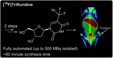 Graphical abstract: Radiosynthesis of the anticancer nucleoside analogue Trifluridine using an automated 18F-trifluoromethylation procedure