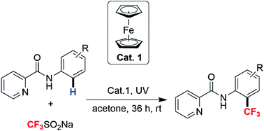 Graphical abstract: Iron-catalyzed ortho trifluoromethylation of anilines via picolinamide assisted photoinduced C–H functionalization