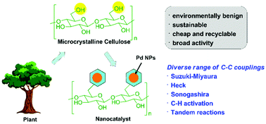 Graphical abstract: Recyclable cellulose-palladium nanoparticles for clean cross-coupling chemistry