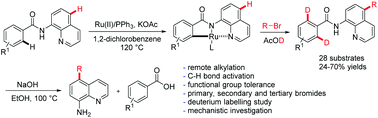Graphical abstract: Remote alkylation of N-(quinolin-8-yl)benzamides with alkyl bromides via ruthenium(ii)-catalyzed C–H bond activation