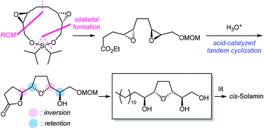 Graphical abstract: Formal synthesis of cis-solamin: acid-catalyzed one-step construction of 2,5-disubstituted tetrahydrofuran