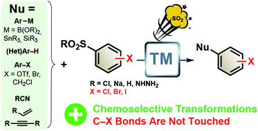 Graphical abstract: Halo-substituted benzenesulfonyls and benzenesulfinates: convenient sources of arenes in metal-catalyzed C–C bond formation reactions for the straightforward access to halo-substituted arenes