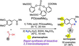 Graphical abstract: Facile synthesis of 2,3-benzodiazepines using one-pot two-step phosphate-assisted acylation–hydrazine cyclization reactions