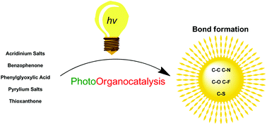 Graphical abstract: Photoorganocatalysis, small organic molecules and light in the service of organic synthesis: the awakening of a sleeping giant