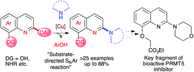 Graphical abstract: Chelation-assisted de-aryloxylative amination of 2-aryloxy quinolines: a new synthetic route to a key fragment of a bioactive PRMT5 inhibitor