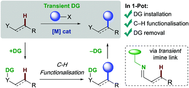 Graphical abstract: Transient imines as ‘next generation’ directing groups for the catalytic functionalisation of C–H bonds in a single operation
