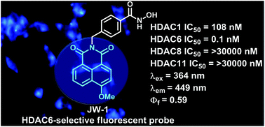 Graphical abstract: A highly HDAC6-selective inhibitor acts as a fluorescent probe