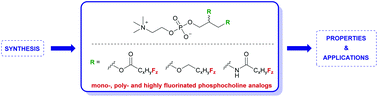 Graphical abstract: Progress in the synthesis of fluorinated phosphatidylcholines for biological applications