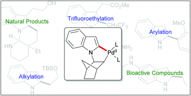Graphical abstract: C–H alkylation reactions of indoles mediated by Pd(ii) and norbornene: applications and recent developments