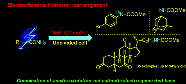 Graphical abstract: Electrochemical Hofmann rearrangement mediated by NaBr: practical access to bioactive carbamates