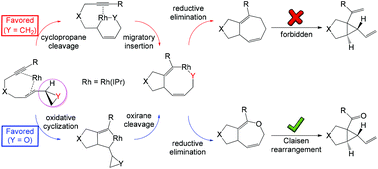 Graphical abstract: Mechanistic understanding of [Rh(NHC)]-catalyzed intramolecular [5 + 2] cycloadditions of vinyloxiranes and vinylcyclopropanes with alkynes