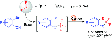 Graphical abstract: Copper-catalyzed synthesis of 2,2-difluoro-1,3-benzoxathioles(selenoles) and their insecticidal activities: the selenium effect