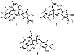Graphical abstract: Tsavoenones A–C: unprecedented polyketides with a 1,7-dioxadispiro[4.0.4.4]tetradecane core from the lichen Parmotrema tsavoense