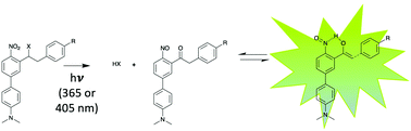 Graphical abstract: o-Nitrobenzyl photoremovable groups with fluorescence uncaging reporting properties