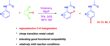 Graphical abstract: Cobalt(ii)-catalyzed regioselective C–H halogenation of anilides