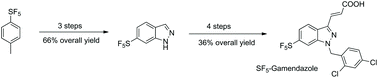 Graphical abstract: Synthesis of 6-SF5-indazoles and an SF5-analog of gamendazole